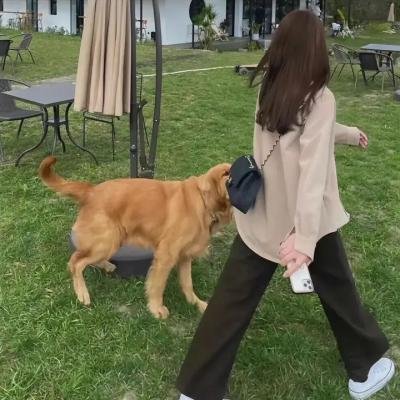 春归