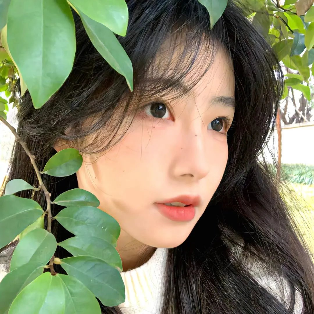 青春之旅第一季